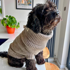 wool dog jumper in oatmeal