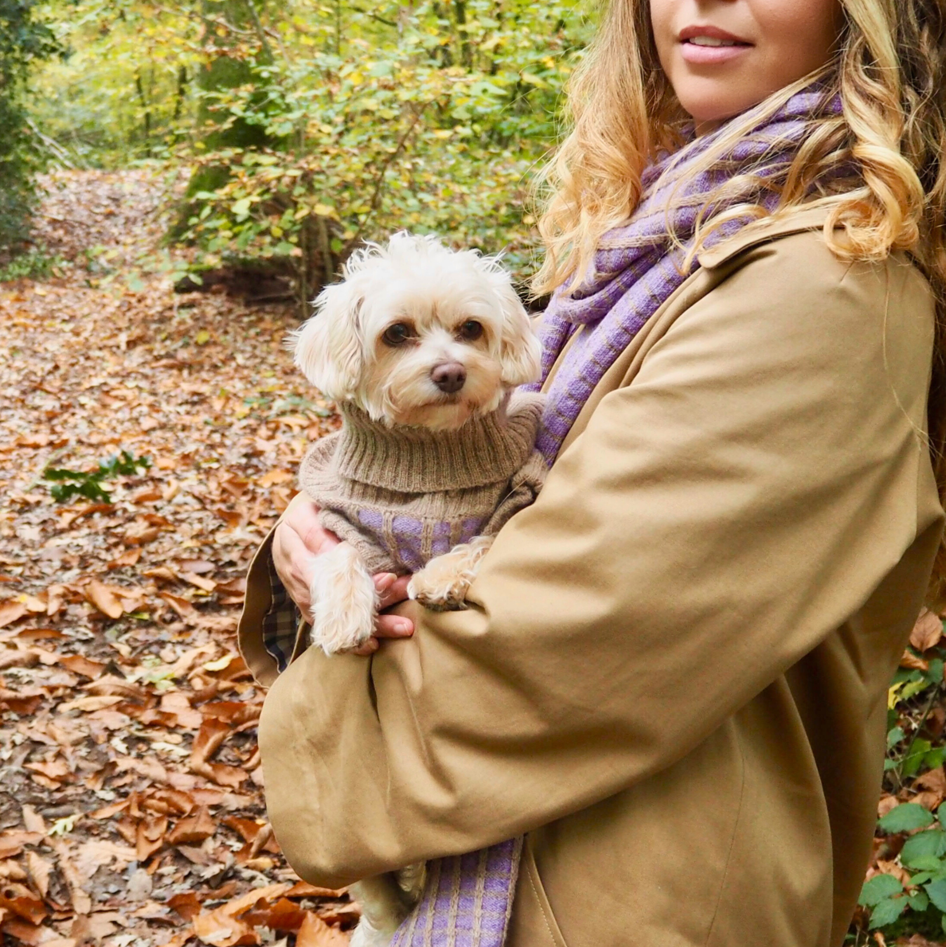 matching dog gift in purple