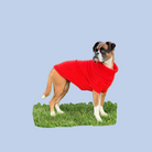 Extra Large British Wool Dog Jumper