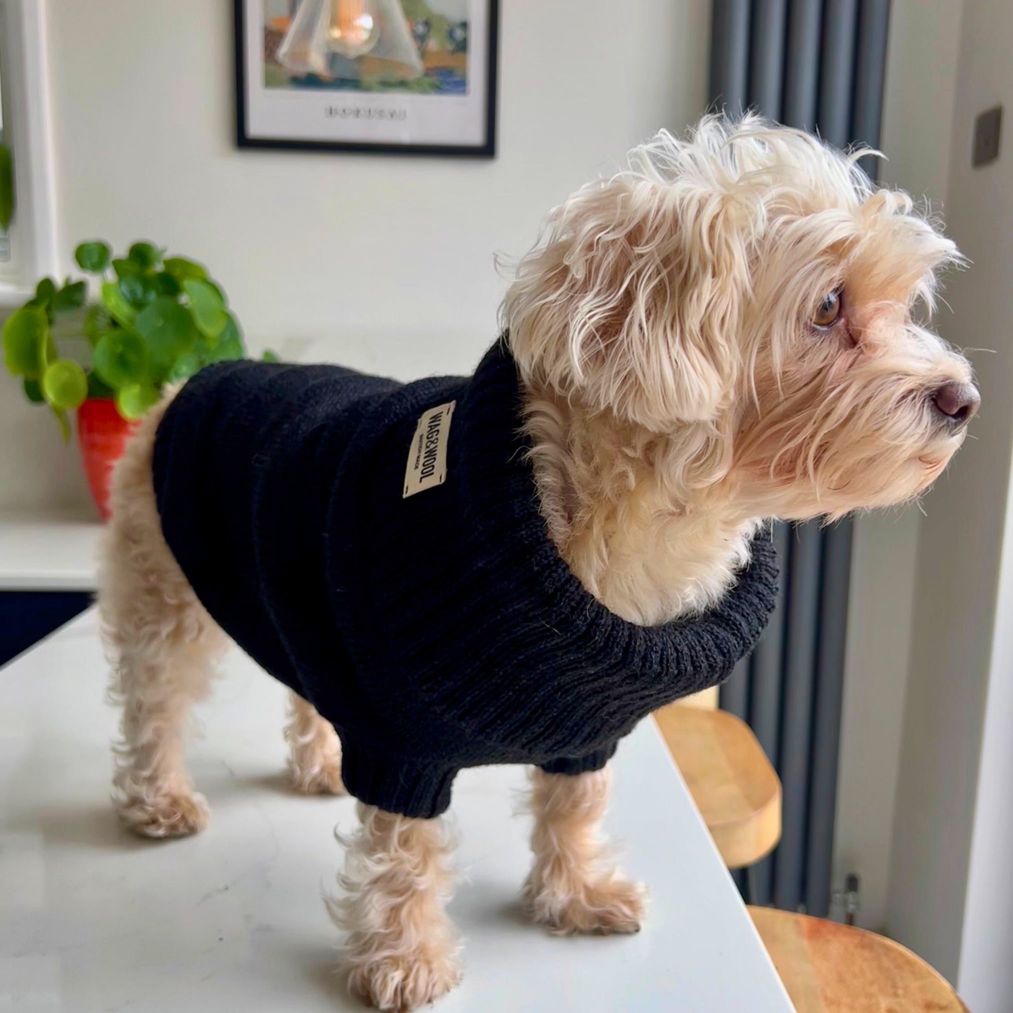 plain black knitted dog jumper