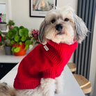 Cherry Red Dog Jumper in British Wool