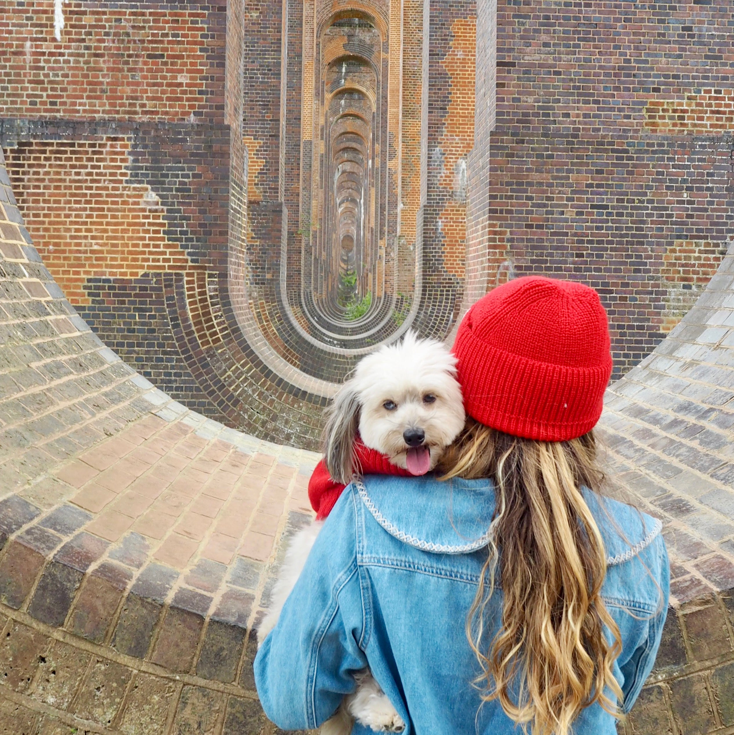 red knitted hat in british wool