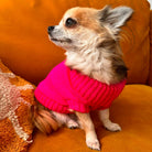 pink chihuahua clothes