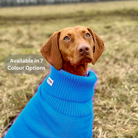 extra large dog jumper in cerulean blue