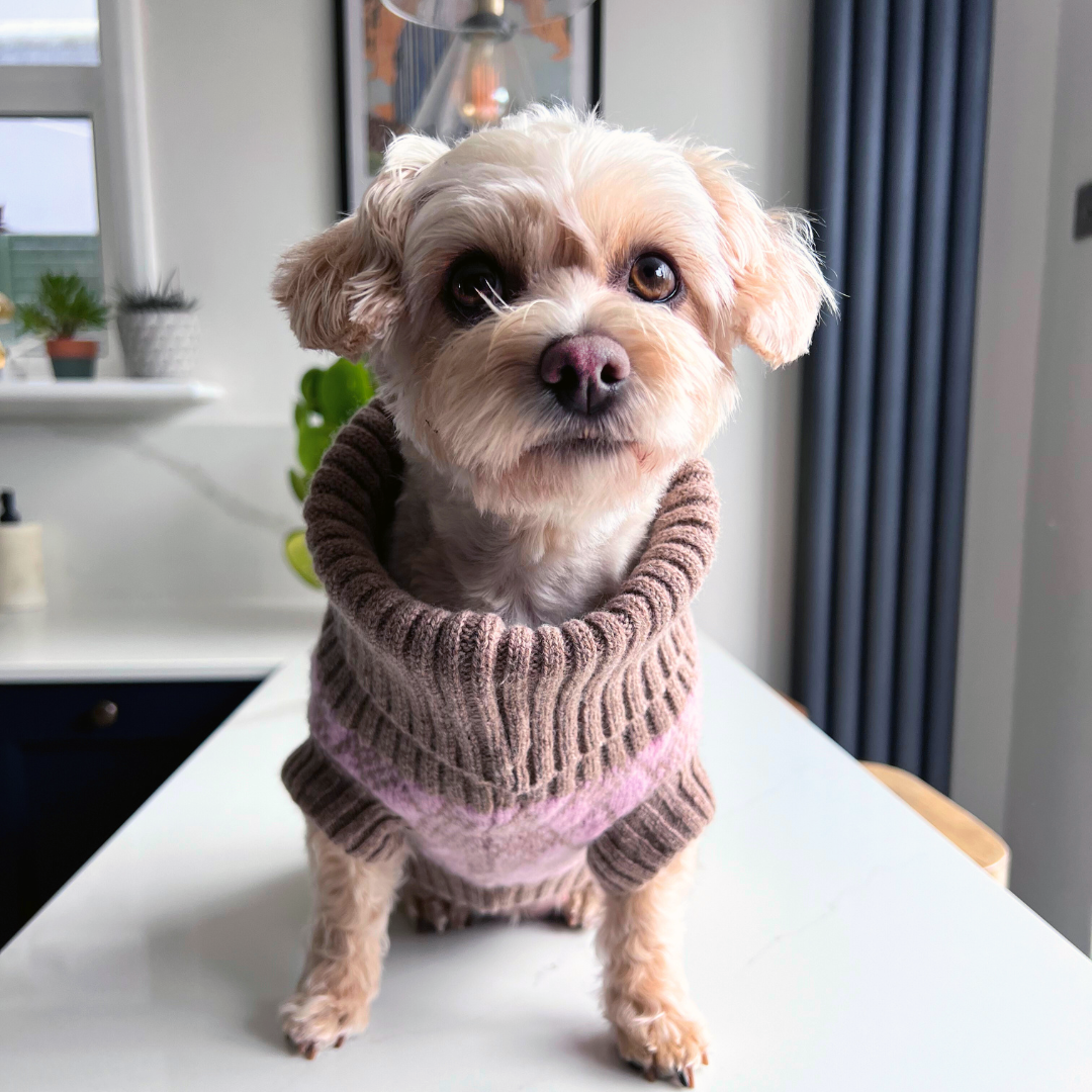 pink knitted dog jumper