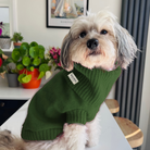 Forest green british wool dog jumper