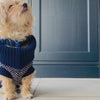 high end dog clothes