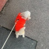 bright orange knitted dog jumper