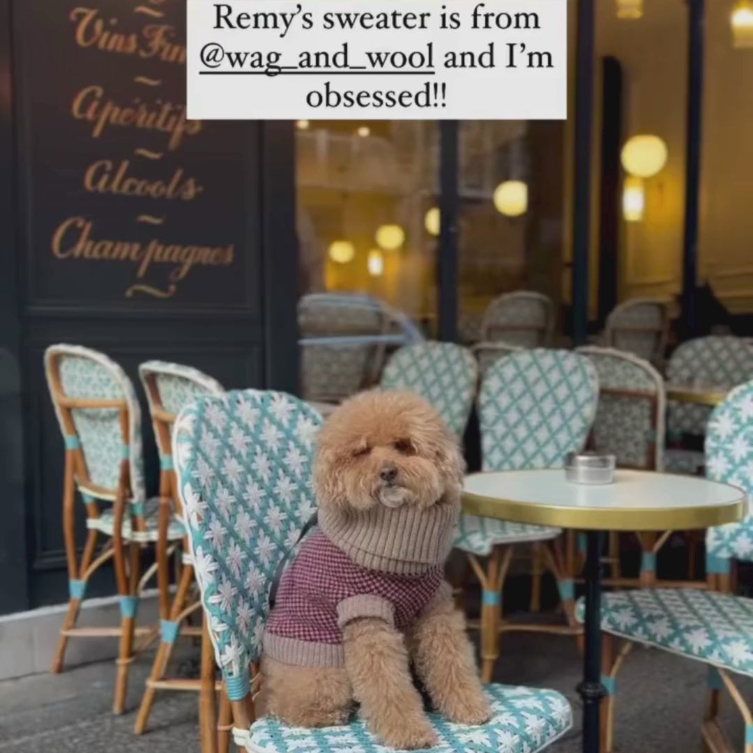 burgundy knitted dog jumper