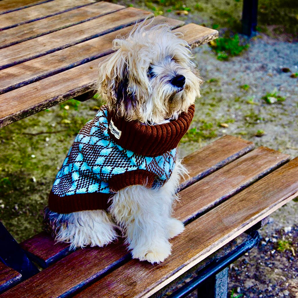 Turquoise and Brown Dog Jumper and Matching Headband Sustainable B WAG WOOL